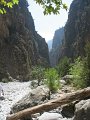 IMG_2199 - Copy